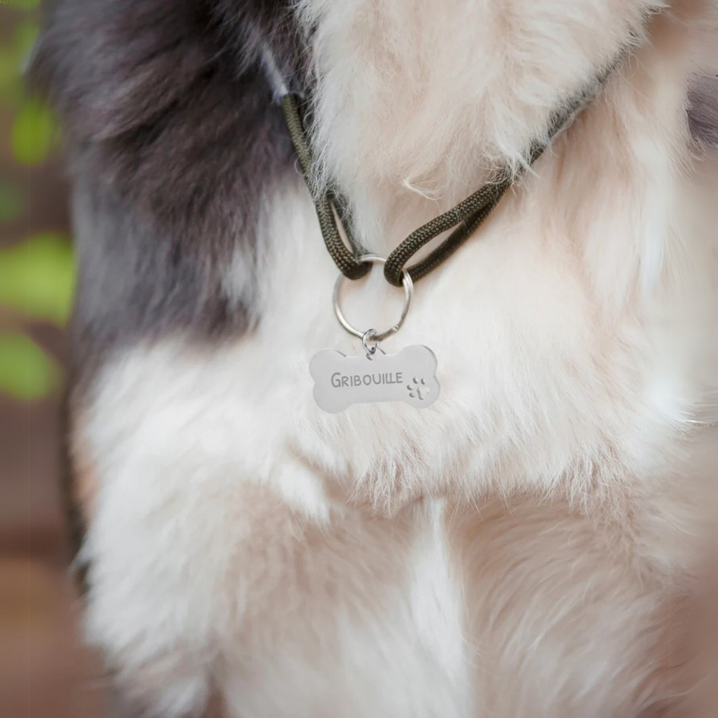 Médaille Chien Personnalisée - Os Acier Inoxydable