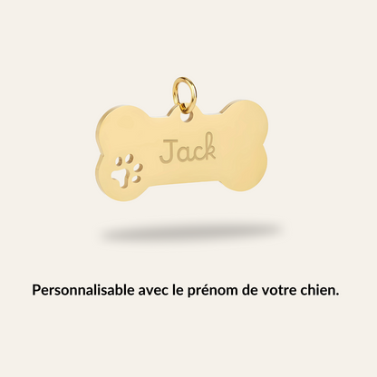 Médaille Chien Personnalisée - Os Acier Inoxydable